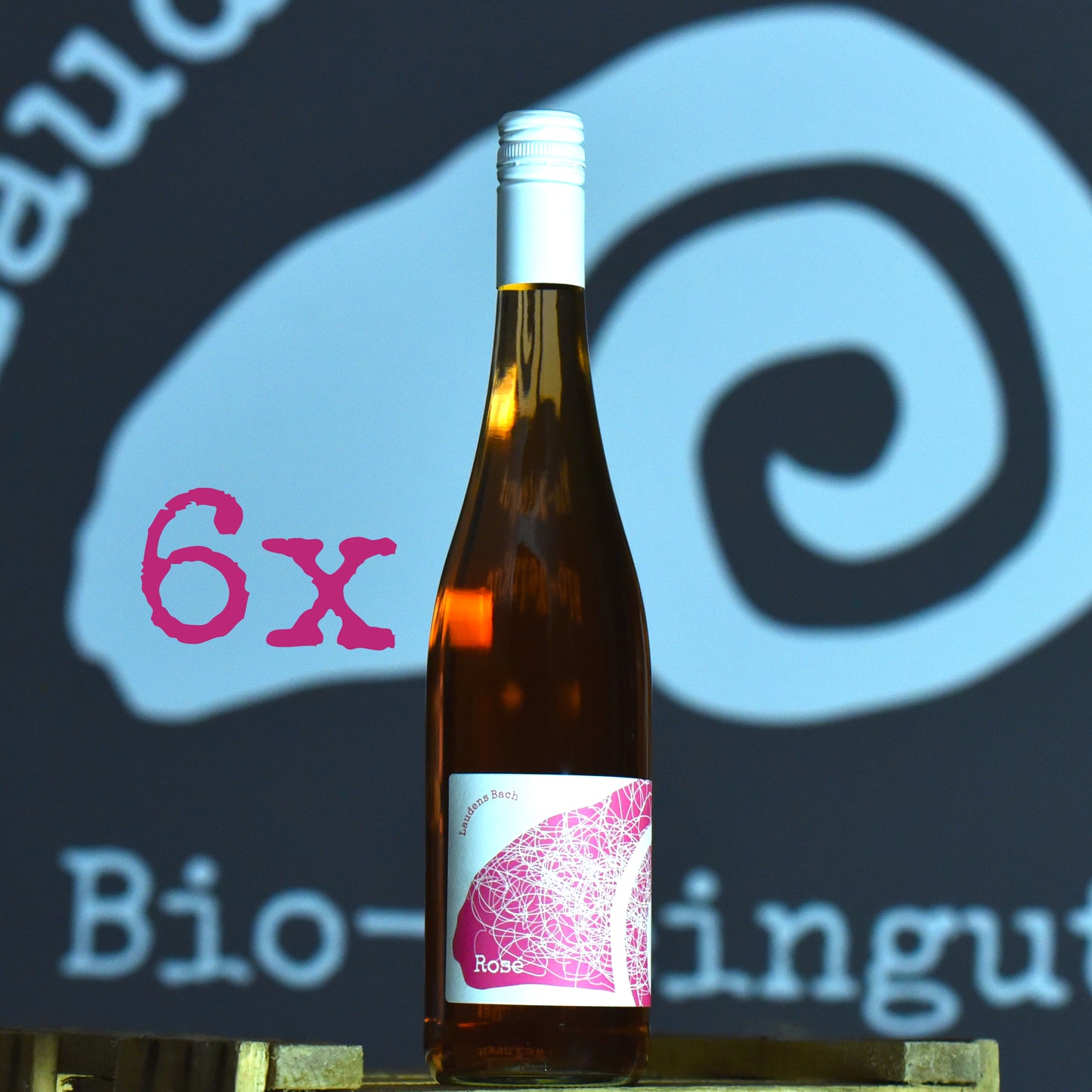 Wein des Monats - 5+1